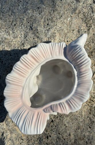 495178886_1438797994067230_280114009325693941_n