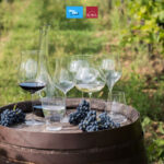 Glassware Set 6 pcs vang đỏ Rona LINEA UMANA - Image 5