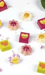 Khuôn chocolate Hoa Thất Tâm Martellato - Ảnh 5